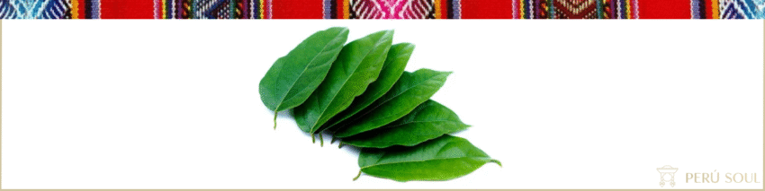 Peruvian Coca Tea Image